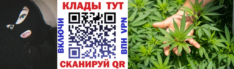 Виды наркоты Кропоткин ГАШИШ МЕТАМФЕТАМИН Кокаин Псилоцибиновые грибы Марихуана Меф Амфетамин Alpha-PVP